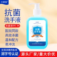 抗菌洗手液 500ml